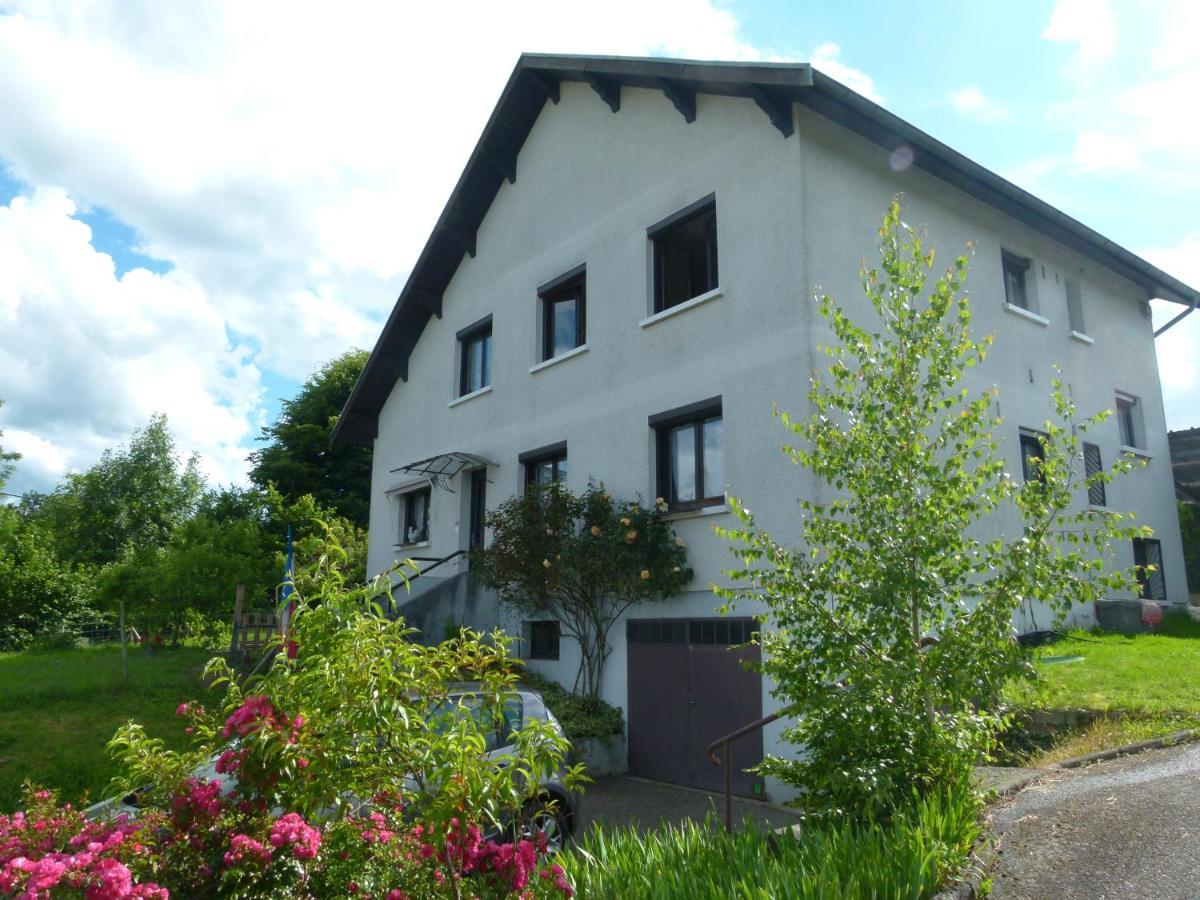 Villa Detente Dauphinoise Saint-Andre-le-Gaz Eksteriør bilde